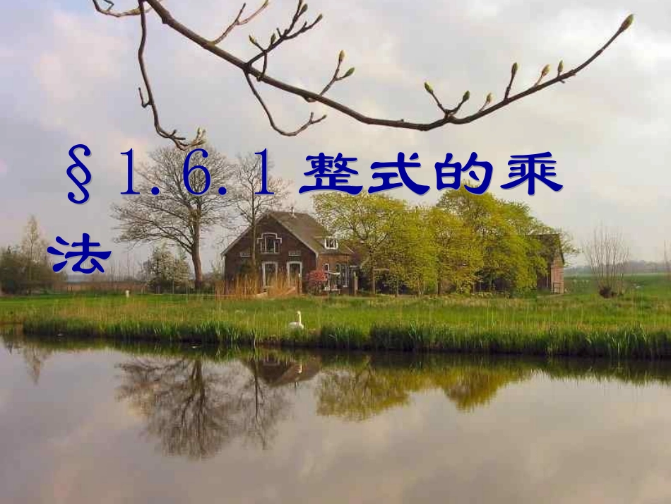 整式的乘法姚彩虹_第1页