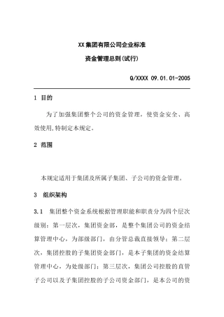 XX集团资金管理总则(试行(doc5)
