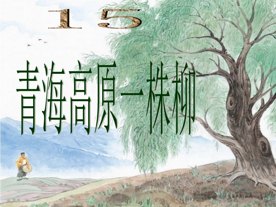 青海高原一株柳PPT_第1页