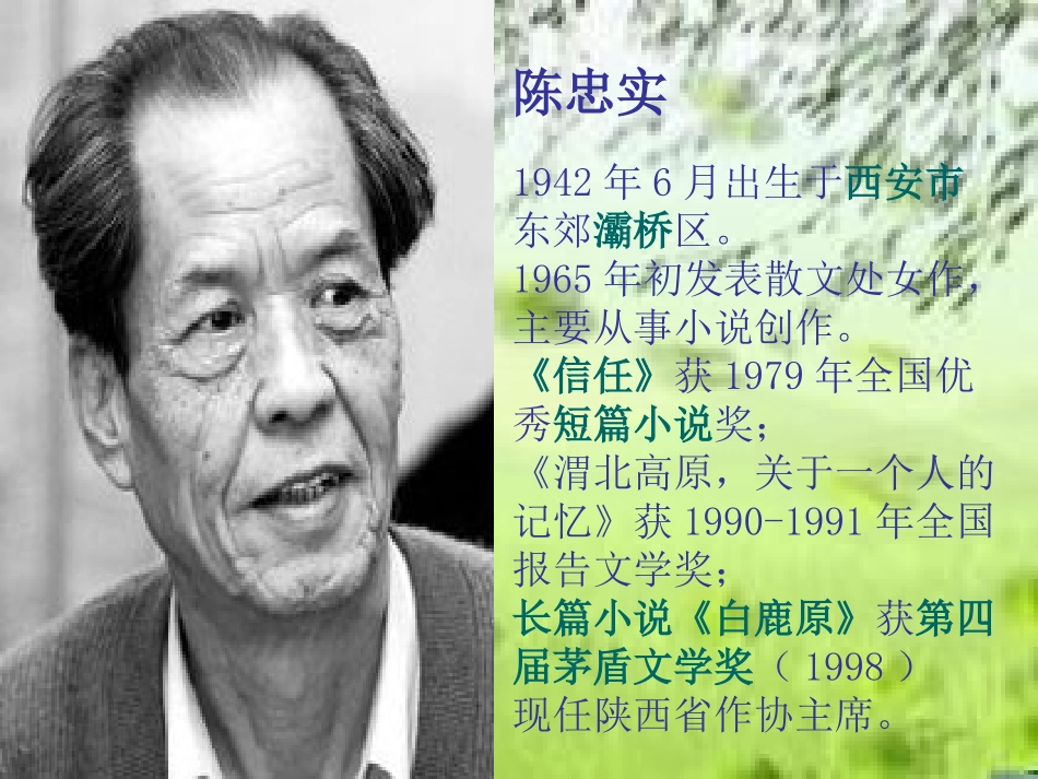 青海高原一株柳PPT_第2页
