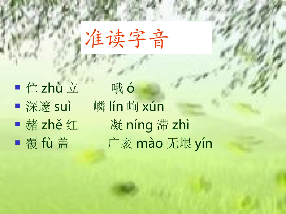 青海高原一株柳PPT_第3页