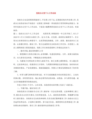 党政办公室个人工作总结 