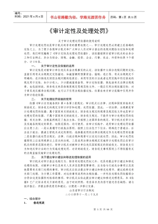 《审计定性及处理处罚》