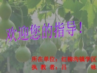 小学人教版二年级语文上册《14、我要的是葫芦》
