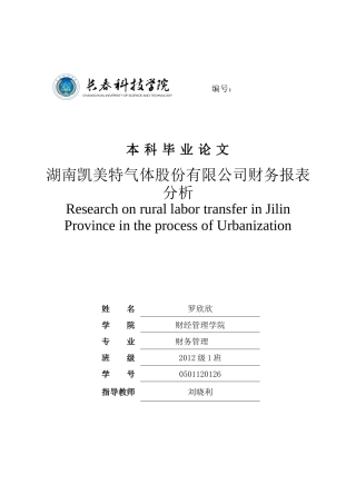 湖南凯美特气体股份有限公司财务报表分析
