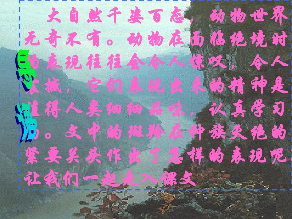 《斑羚飞渡》课件2_第2页