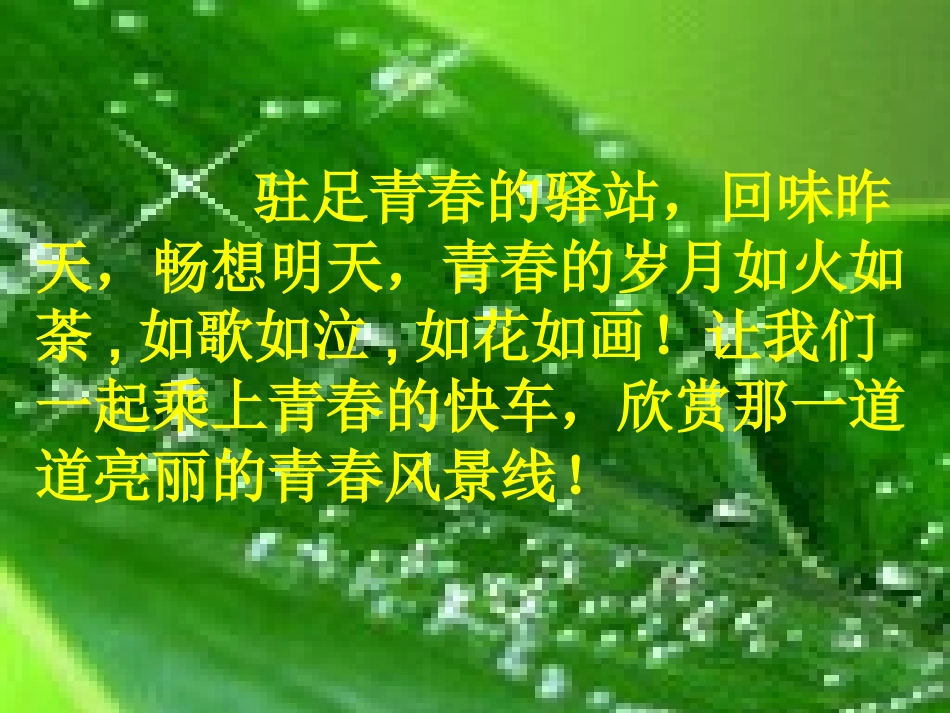 青春随想——综合性学习_第2页