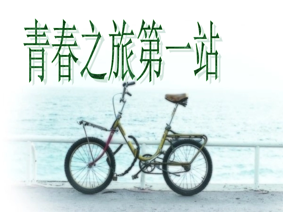 青春随想——综合性学习_第3页