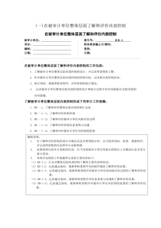(一)在被审计单位整层面了解和评价内部控制