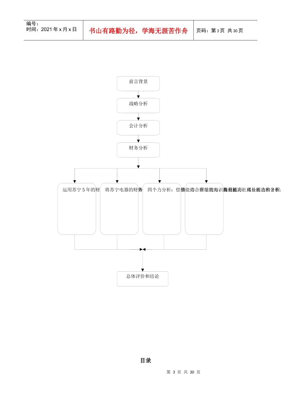 苏宁财务报表分析_第3页