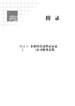 财务总监及助理用表