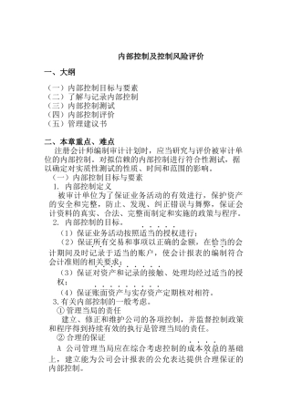 内部控制及控制风险分析