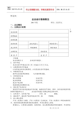 审计报告附注(中小型)