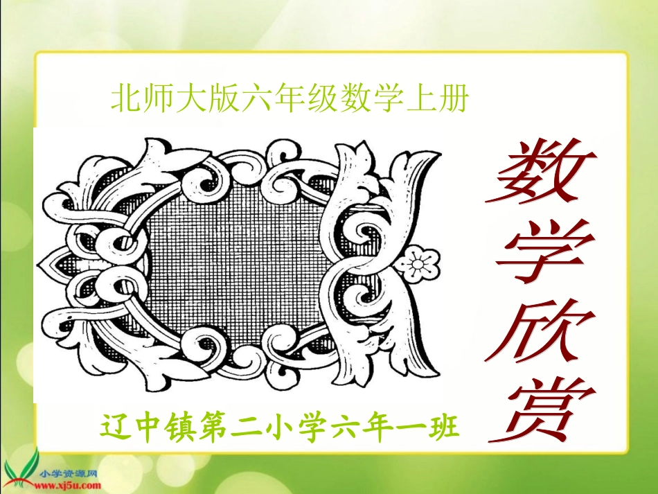 北师大版数学六年级上册《数学欣赏》PPT课件_第1页
