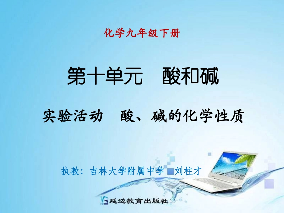 实验活动酸、碱的化学性质_第1页
