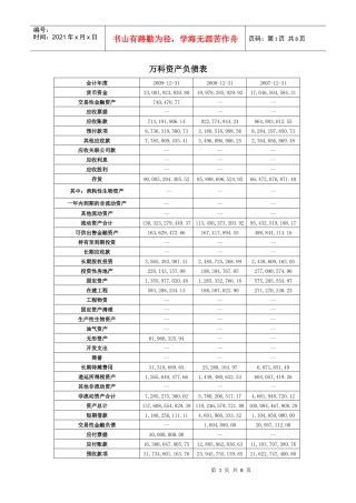 某地产财务报表