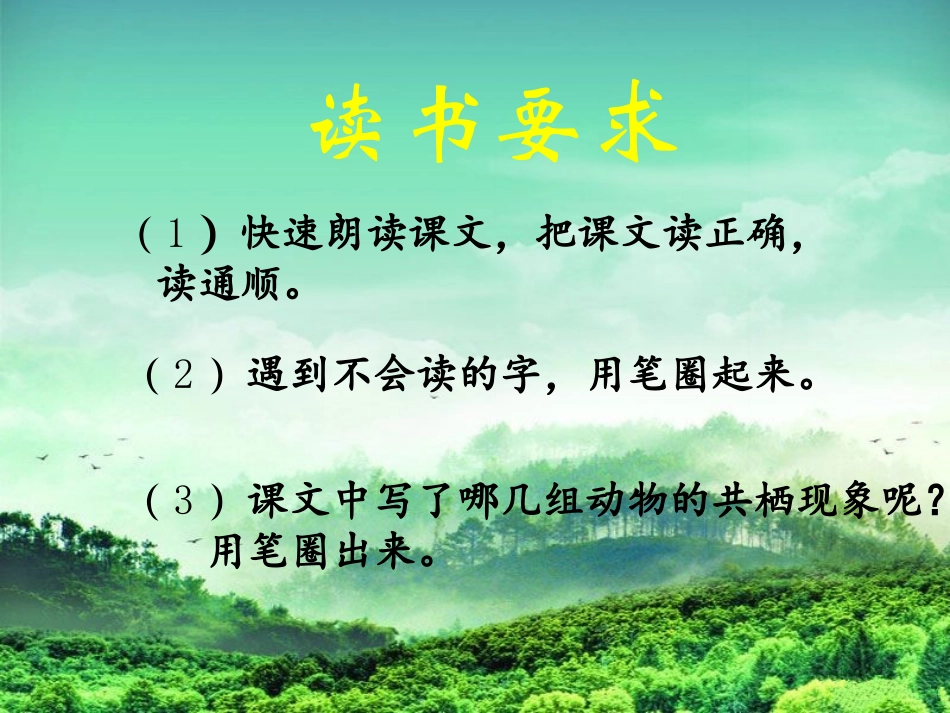 有趣的动物共栖现象_第2页