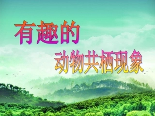 有趣的动物共栖现象