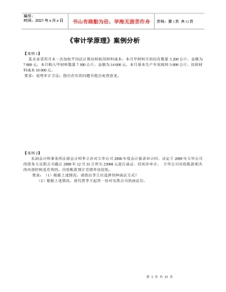审计案例分析(1~20)