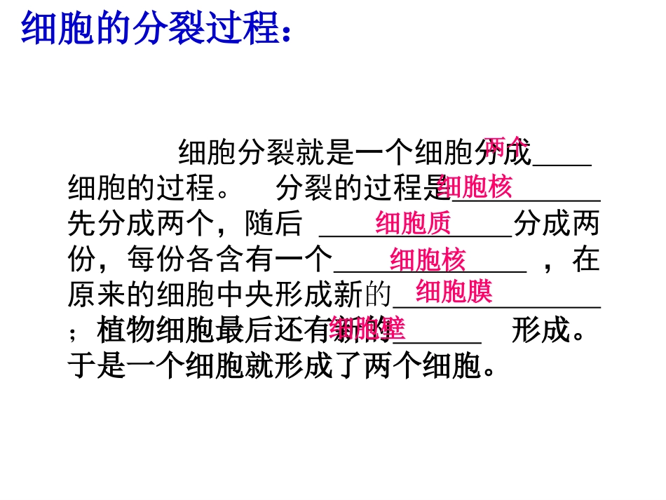 生物体的结构层次复习课_第2页