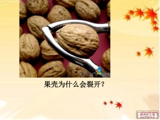 在阅读教学中要