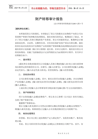 财产转移审计报告