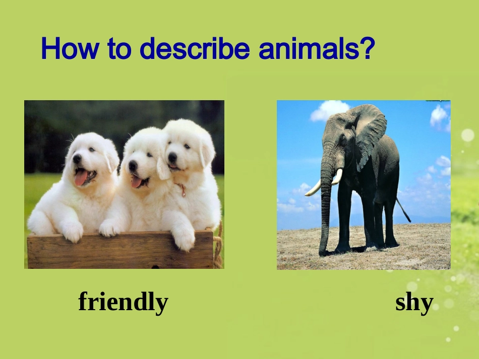 七年级英语下册_Unit_5_Why_do_you_like_pandas_Section_B课件_(2012新版)人教新目标版_第2页