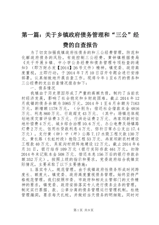 第一篇：关于乡镇政府债务管理和“三公”经费的自查报告