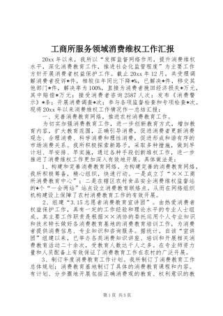 工商所服务领域消费维权工作汇报