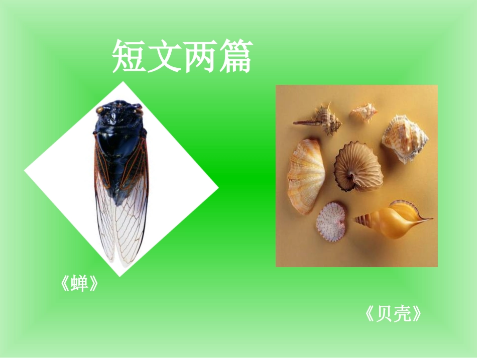短文两篇（蝉，贝壳）（易）_第1页