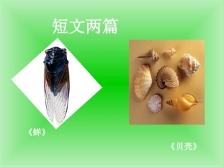 短文两篇（蝉，贝壳）（易）