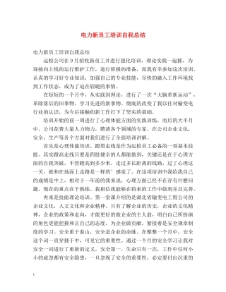 电力新员工培训自我总结 
