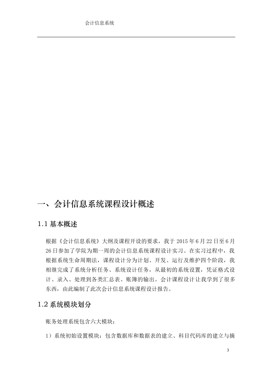 会计信息系统报告_第3页