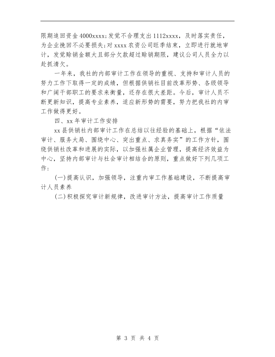 县供销社内部审计工作总结_第3页
