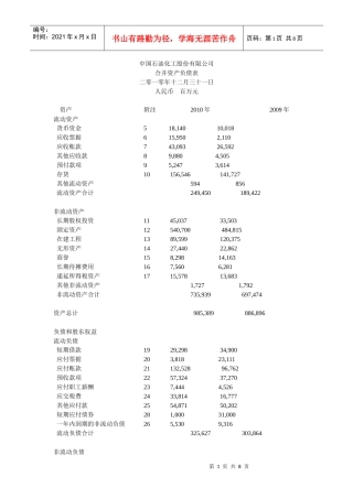 中石化XXXX财务报表