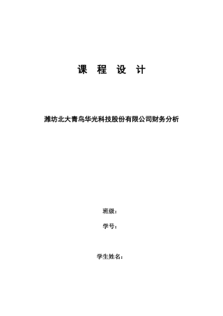 财务分析宋晨修改后有封面