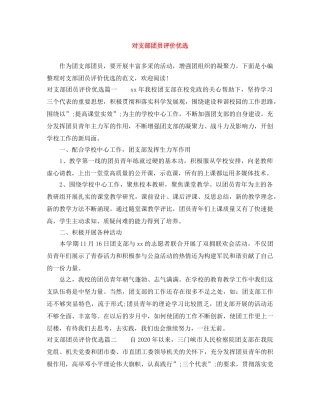 对支部团员评价优选 