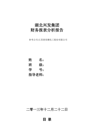湖北兴发集团财务报表分析