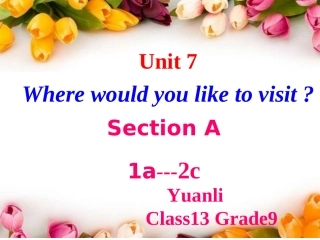 （新目标）九年级上Unit7公开课