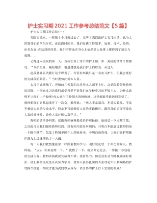 护士实习期工作参考总结范文【5篇】