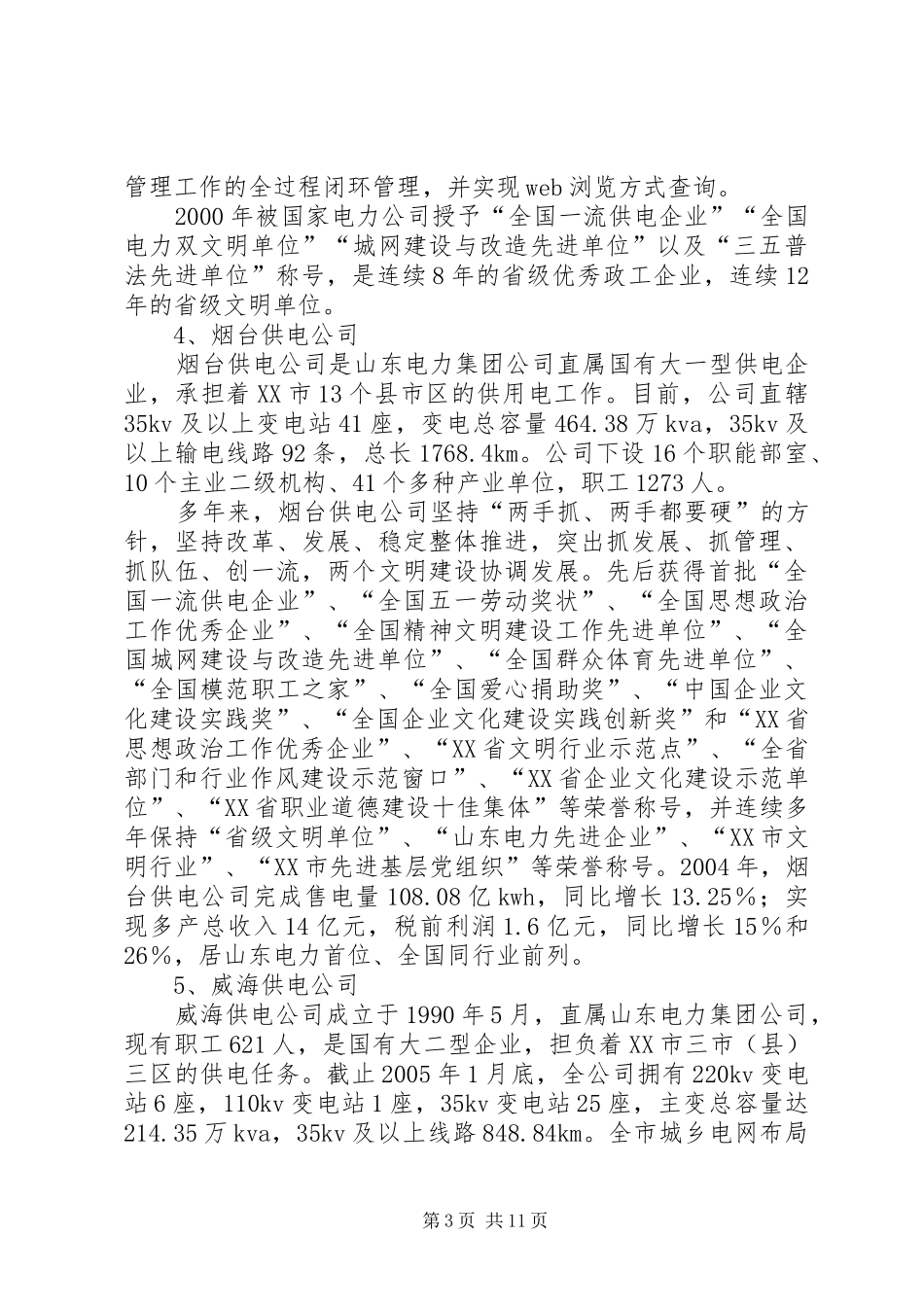 电力公司发展考察报告_第3页