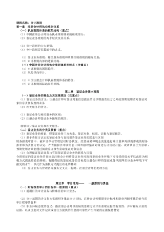 7134_审计准则大纲改