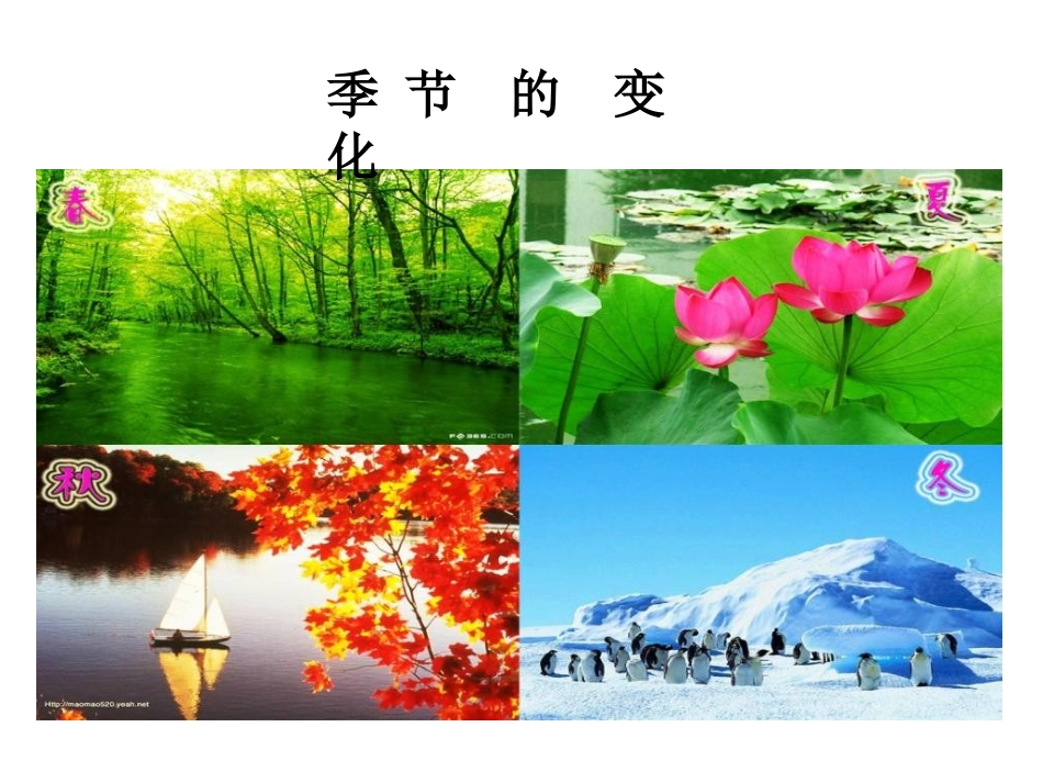 地球的运动二_第1页
