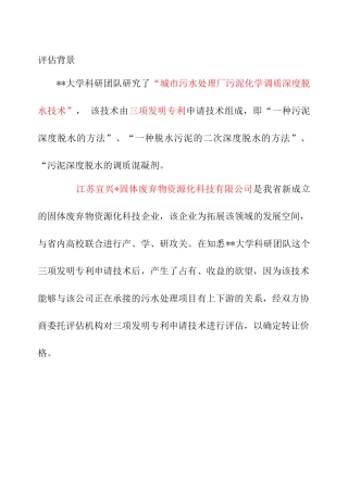 污泥焚烧技术无形资产评估报告