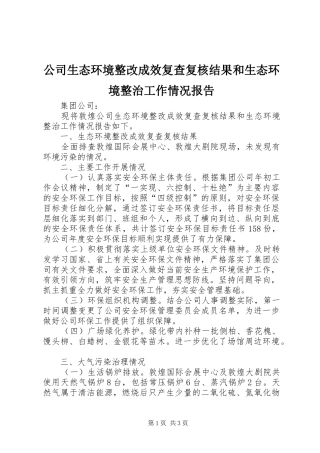 公司生态环境整改成效复查复核结果和生态环境整治工作情况报告