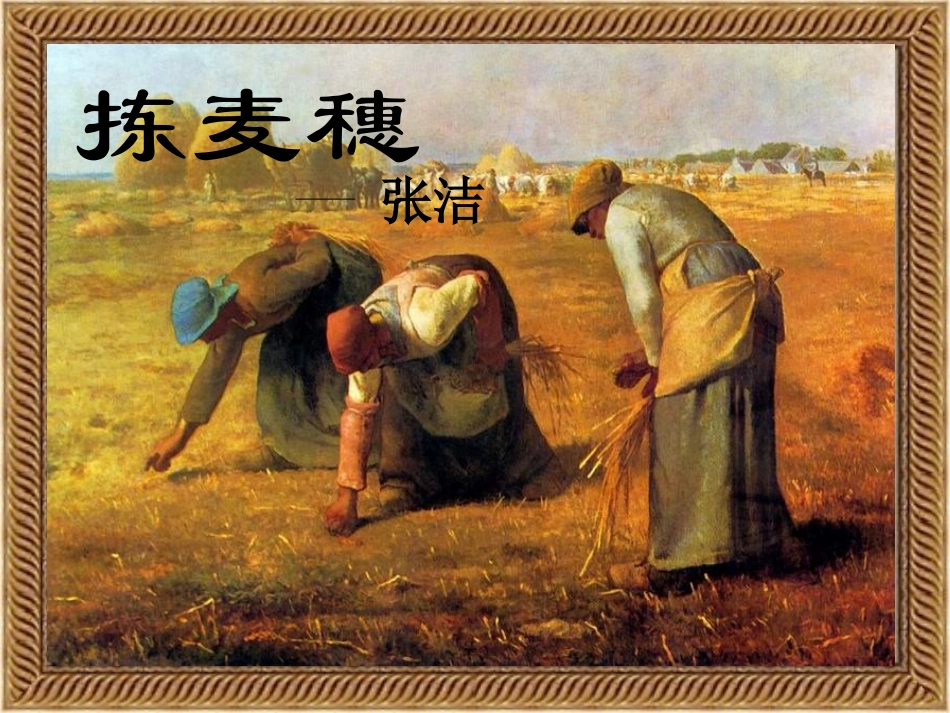 高一语文必修一《捡麦穗》课件_第1页