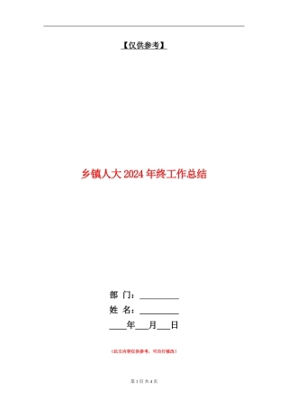乡镇人大2024年终工作总结
