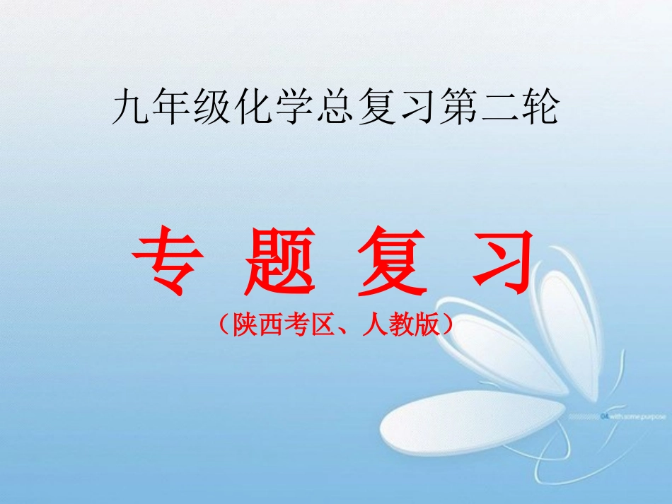 2012年中考化学专题复习精品课件(陕西考区、含3年中考真题)_第2页