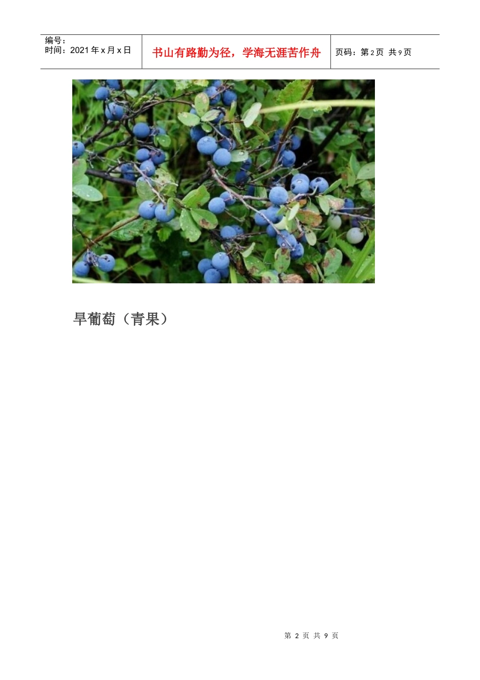 大兴安岭常见植物_第2页