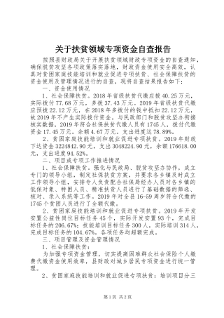 关于扶贫领域专项资金自查报告